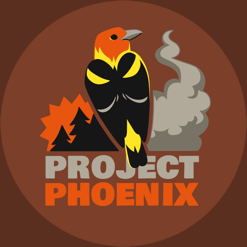 ProjectPhoenix_Icon_Brown