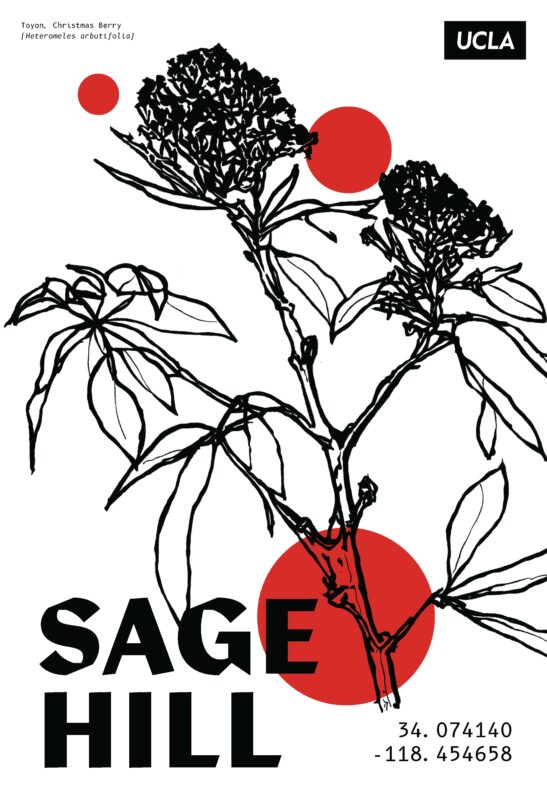 Sage-Hill-Poster-