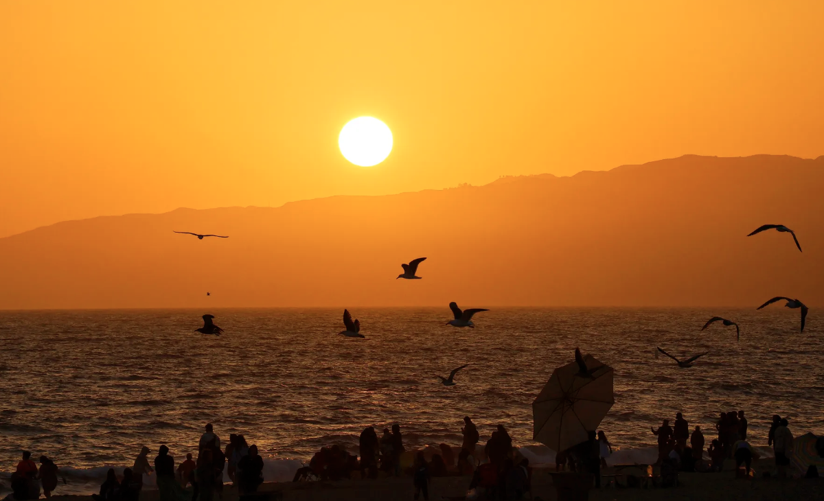 Seagulls fly in front of the setting sun on Santa Monica Beach in Los Angeles, California, where an excessive heat warning has been issued for this weekend | Gary Hershorn