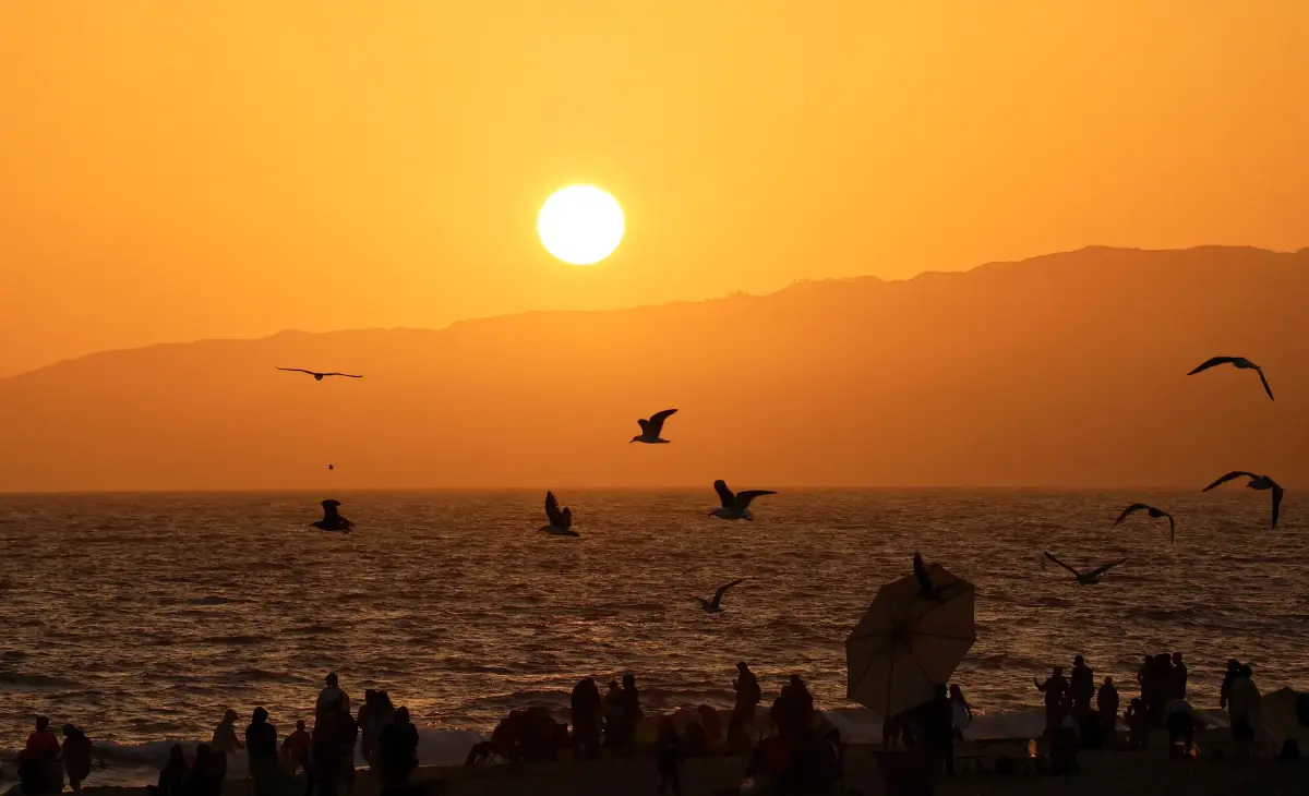 Seagulls fly in front of the setting sun on Santa Monica Beach in Los Angeles, California, where an excessive heat warning has been issued for this weekend | Gary Hershorn