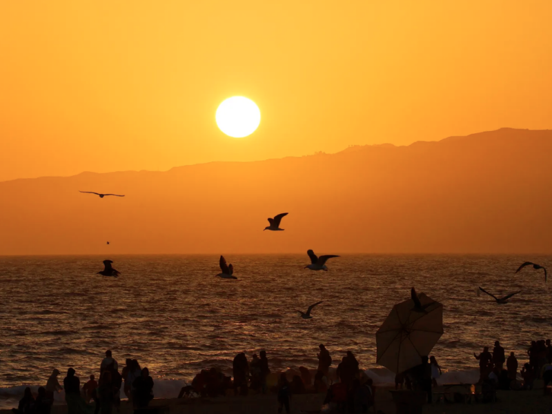 Seagulls fly in front of the setting sun on Santa Monica Beach in Los Angeles, California, where an excessive heat warning has been issued for this weekend | Gary Hershorn