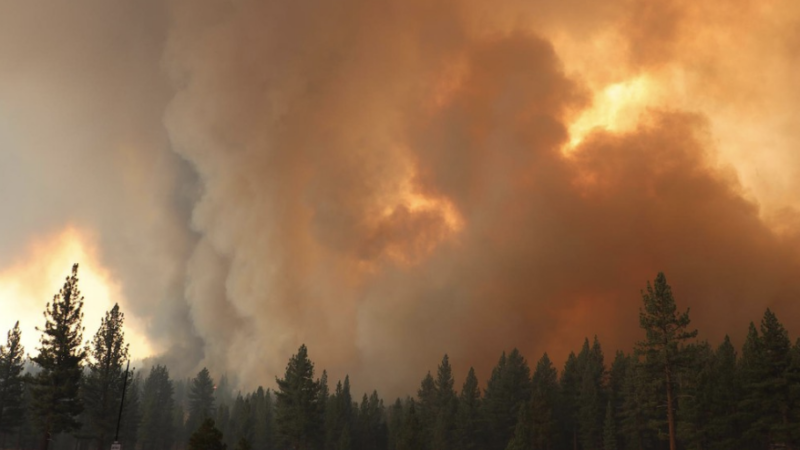 Wildfire | Wikipedia Commons