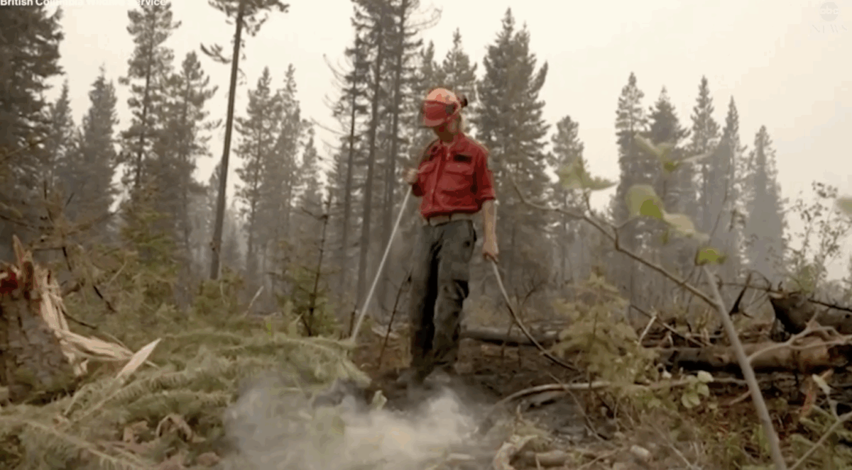 forest worker wildfire