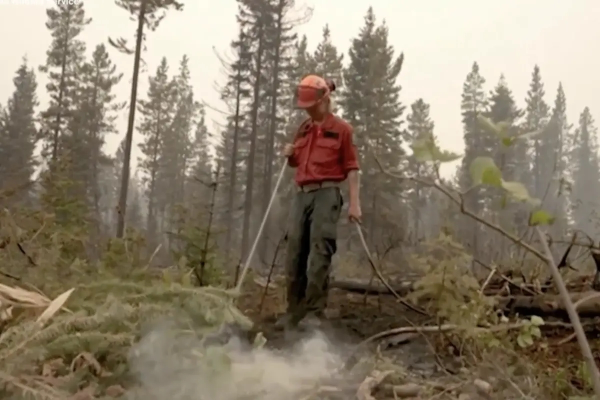 forest worker wildfire