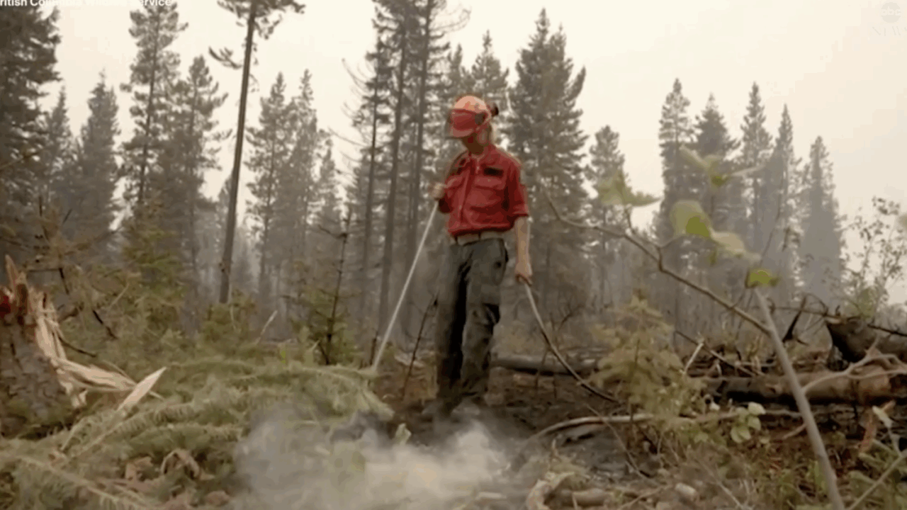 forest worker wildfire