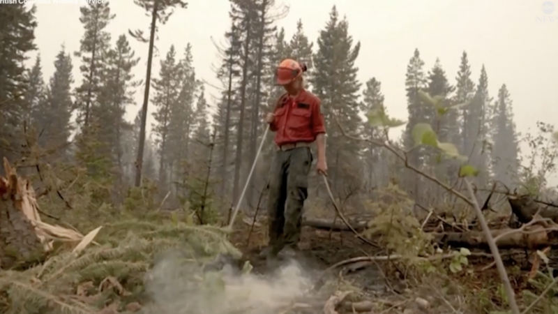 forest worker wildfire