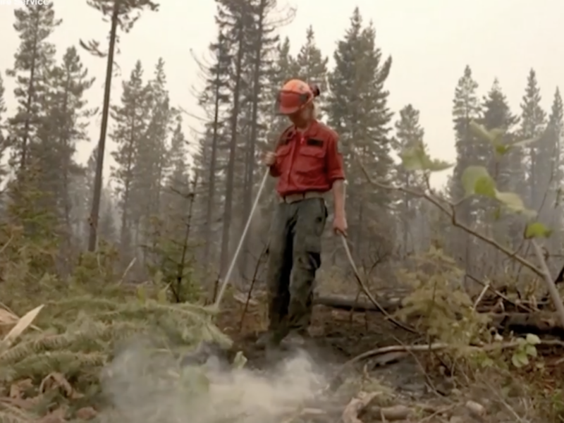 forest worker wildfire