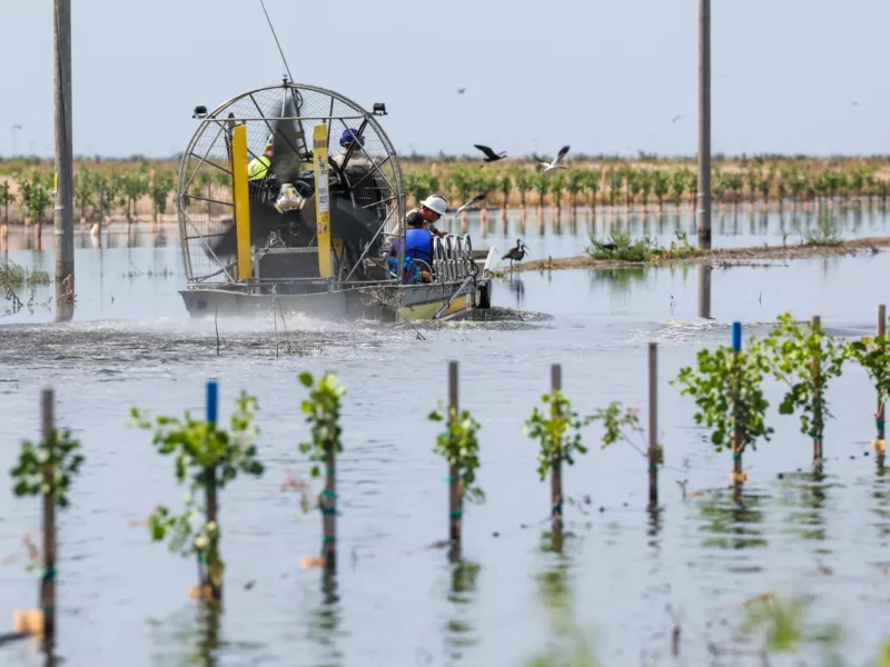 PG&E crews travel by airboat in June to decommission power poles in a flooded pistachio orchard in Corcoran, Calif., which lies in the Tulare Basin. (Robert Gauthier / Los Angeles Times)