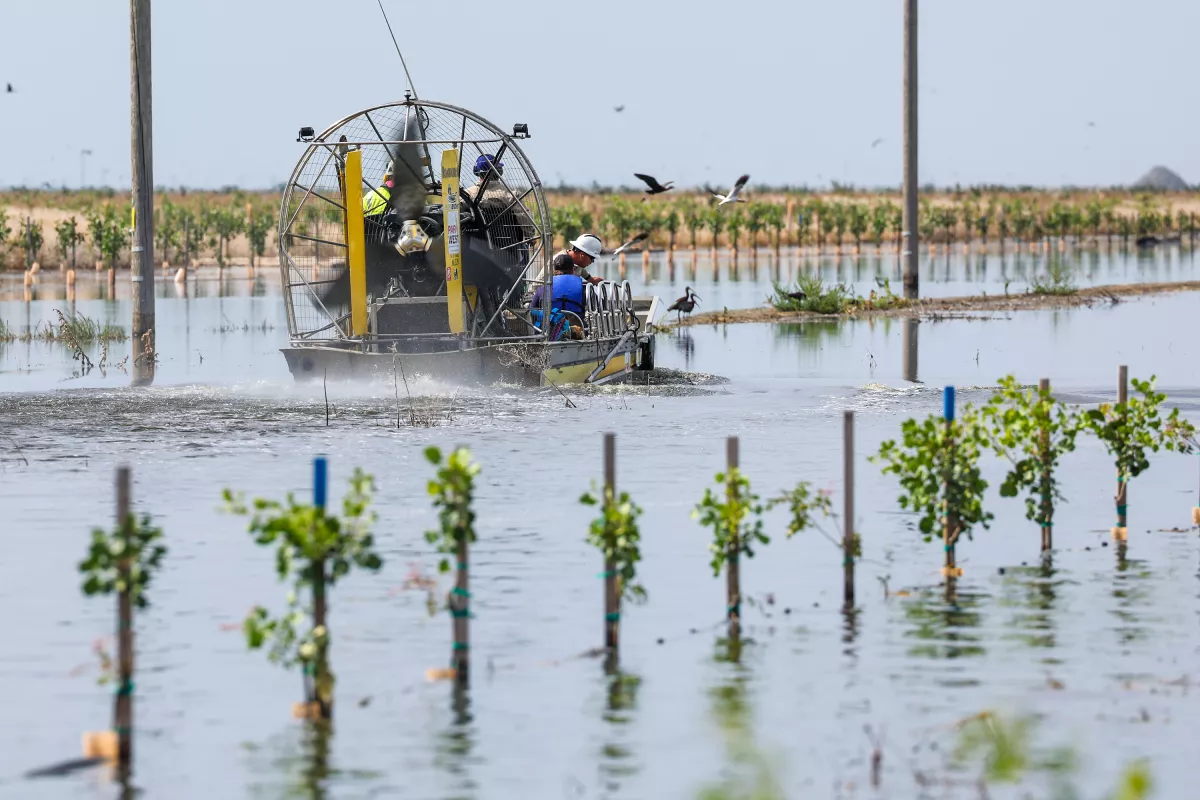 PG&E crews travel by airboat in June to decommission power poles in a flooded pistachio orchard in Corcoran, Calif., which lies in the Tulare Basin. (Robert Gauthier / Los Angeles Times)