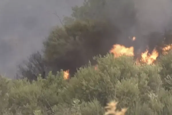 Algeria fire ap