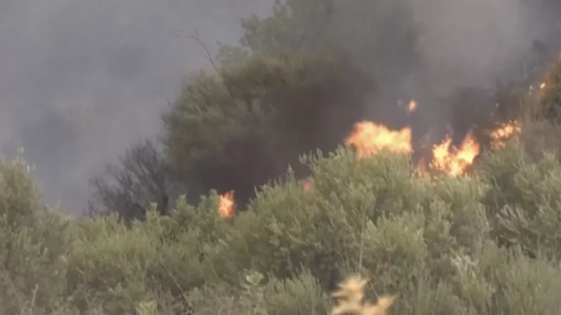 Algeria fire ap