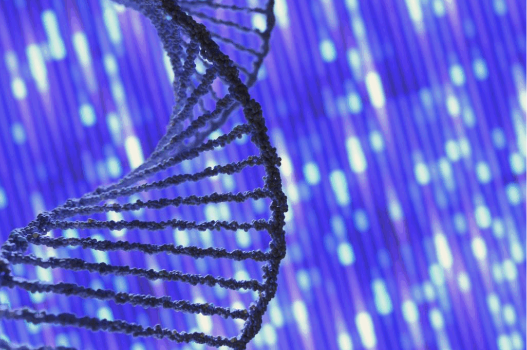 Genetics biology dna sequence evolution