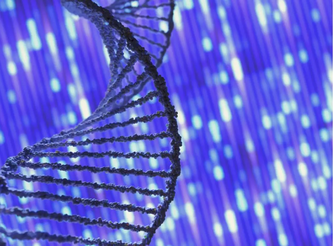 Genetics biology dna sequence evolution