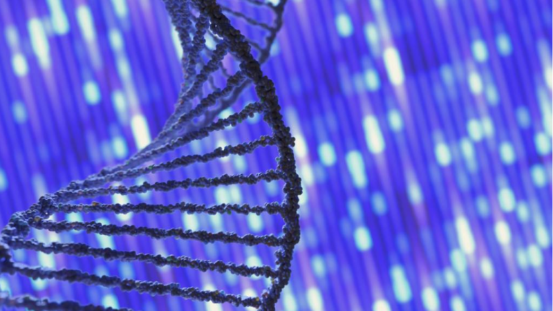 Genetics biology dna sequence evolution