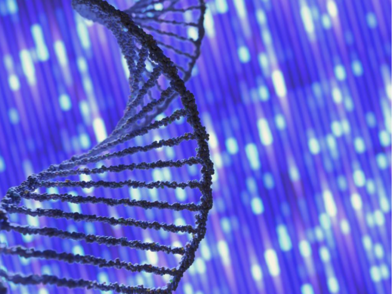 Genetics biology dna sequence evolution