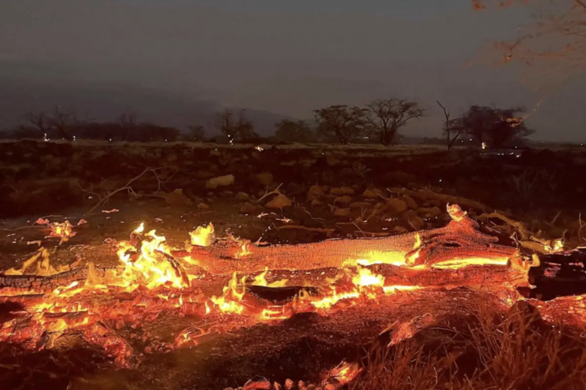 Kihei- Hawaii wildfire burns | Ty O'neil, Associated Press