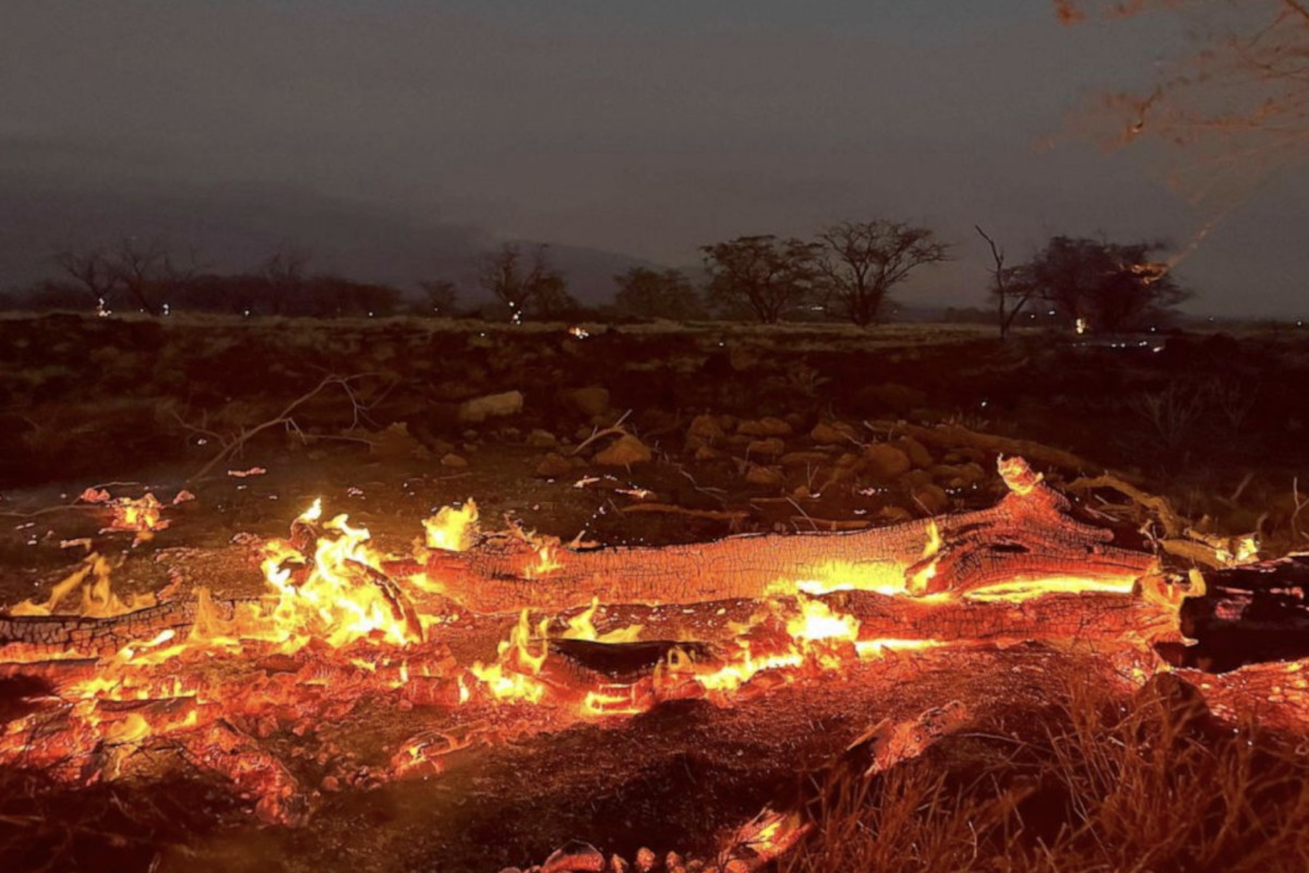 Kihei- Hawaii wildfire burns | Ty O'neil, Associated Press