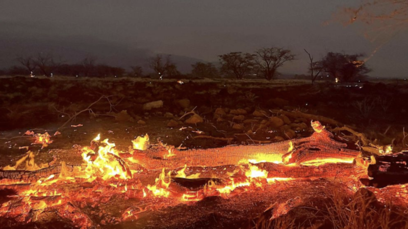 Kihei- Hawaii wildfire burns | Ty O'neil, Associated Press