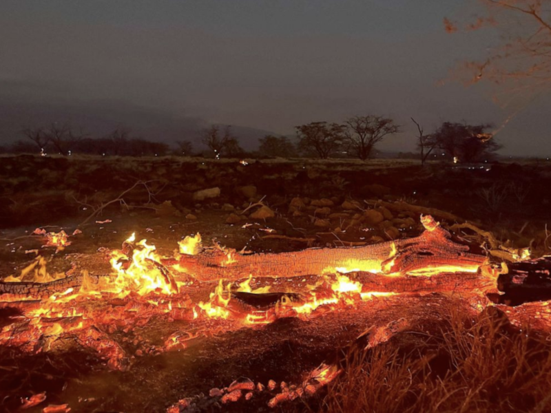 Kihei- Hawaii wildfire burns | Ty O'neil, Associated Press