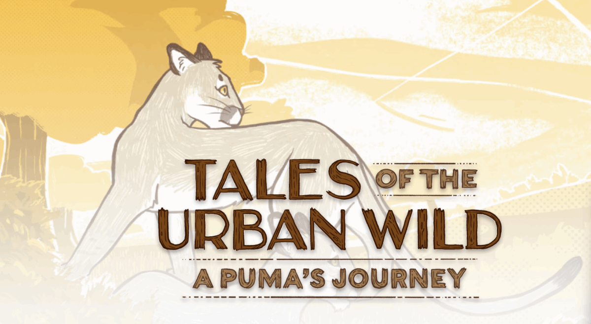 Tales of the urban wild tiffany yap environmental engineering and science alumni