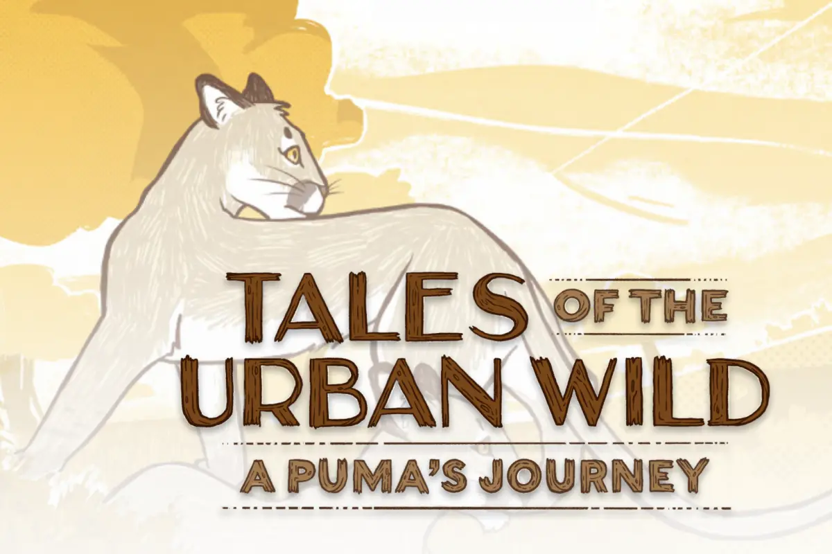 Tales of the urban wild tiffany yap environmental engineering and science alumni