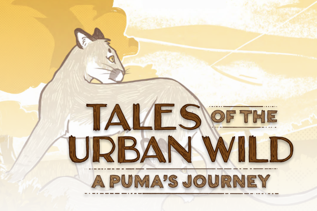 Tales of the urban wild tiffany yap environmental engineering and science alumni