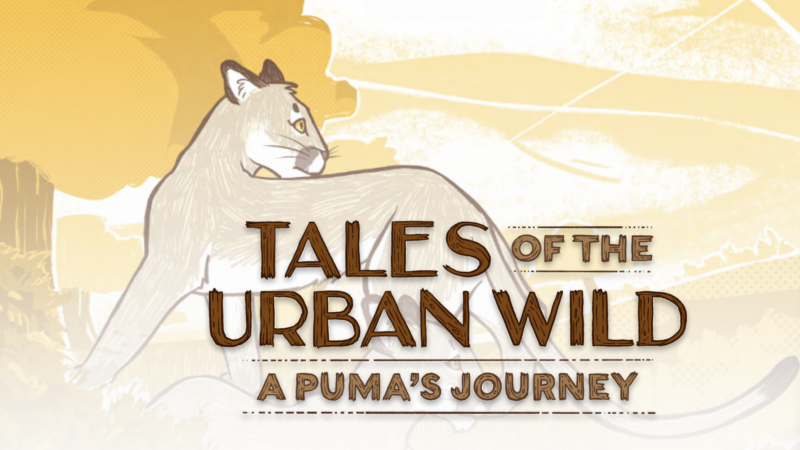 Tales of the urban wild tiffany yap environmental engineering and science alumni