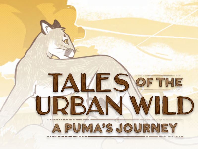 Tales of the urban wild tiffany yap environmental engineering and science alumni