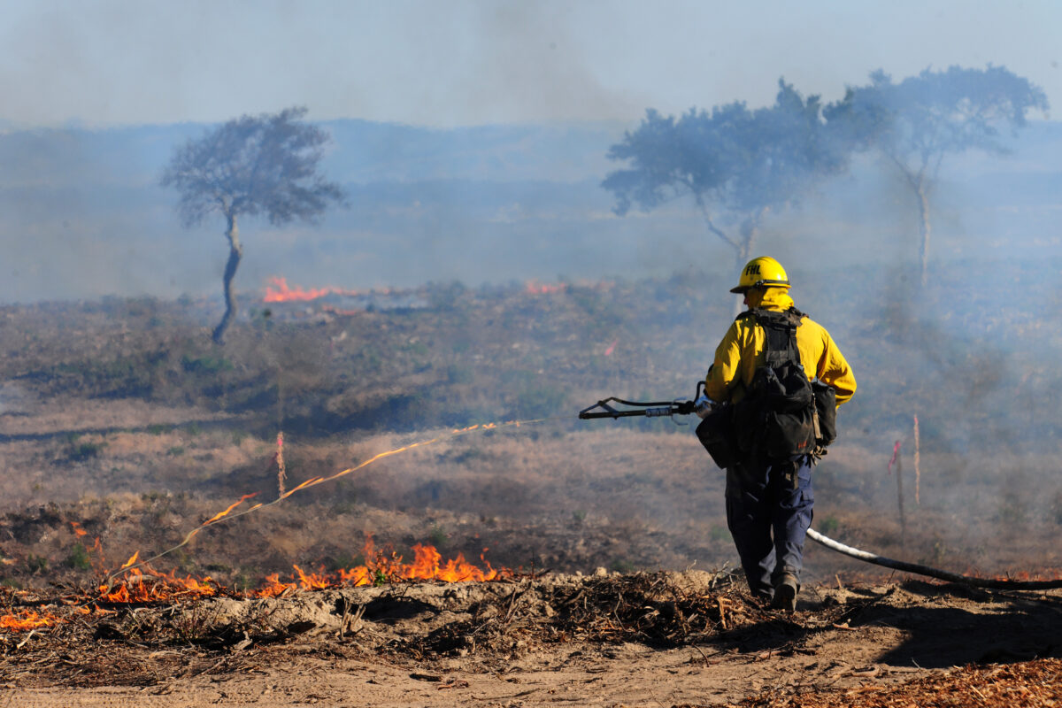 Army Prescribed Burn on Fort Ord