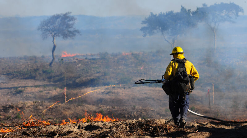 Army Prescribed Burn on Fort Ord