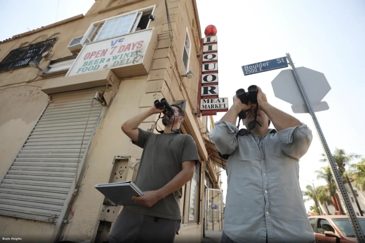 Christian Benitez and Eric M Wood stood outside a corner liquor store searching for birds. Genaro Melina, LA Times