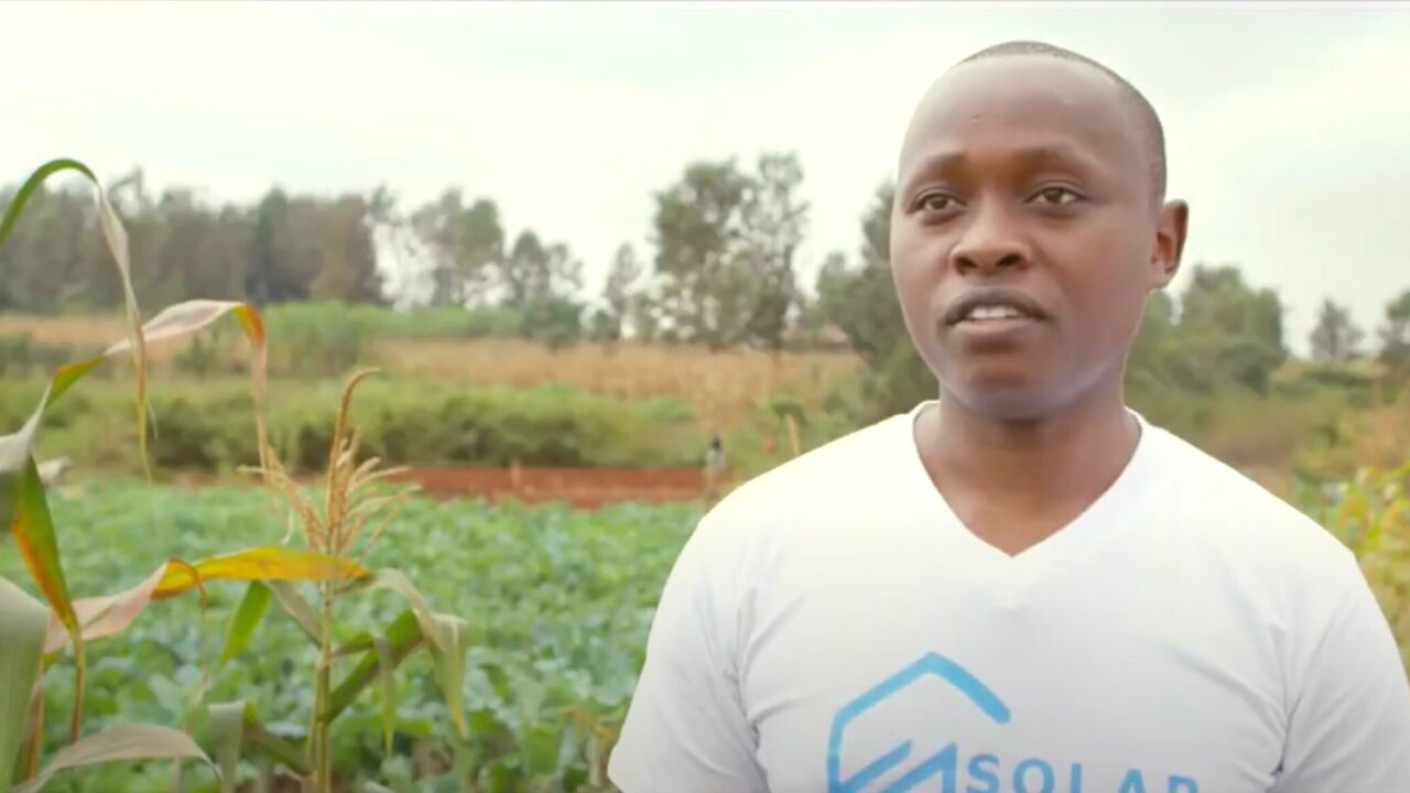 Dysmus Kisilu