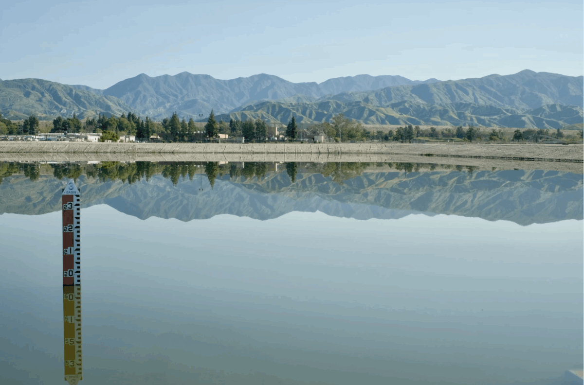 Hansen spreading grounds in Sun Valley is one of L.A. County's largest stormwater capture and flood control basins. (Erin Stone / LAist)