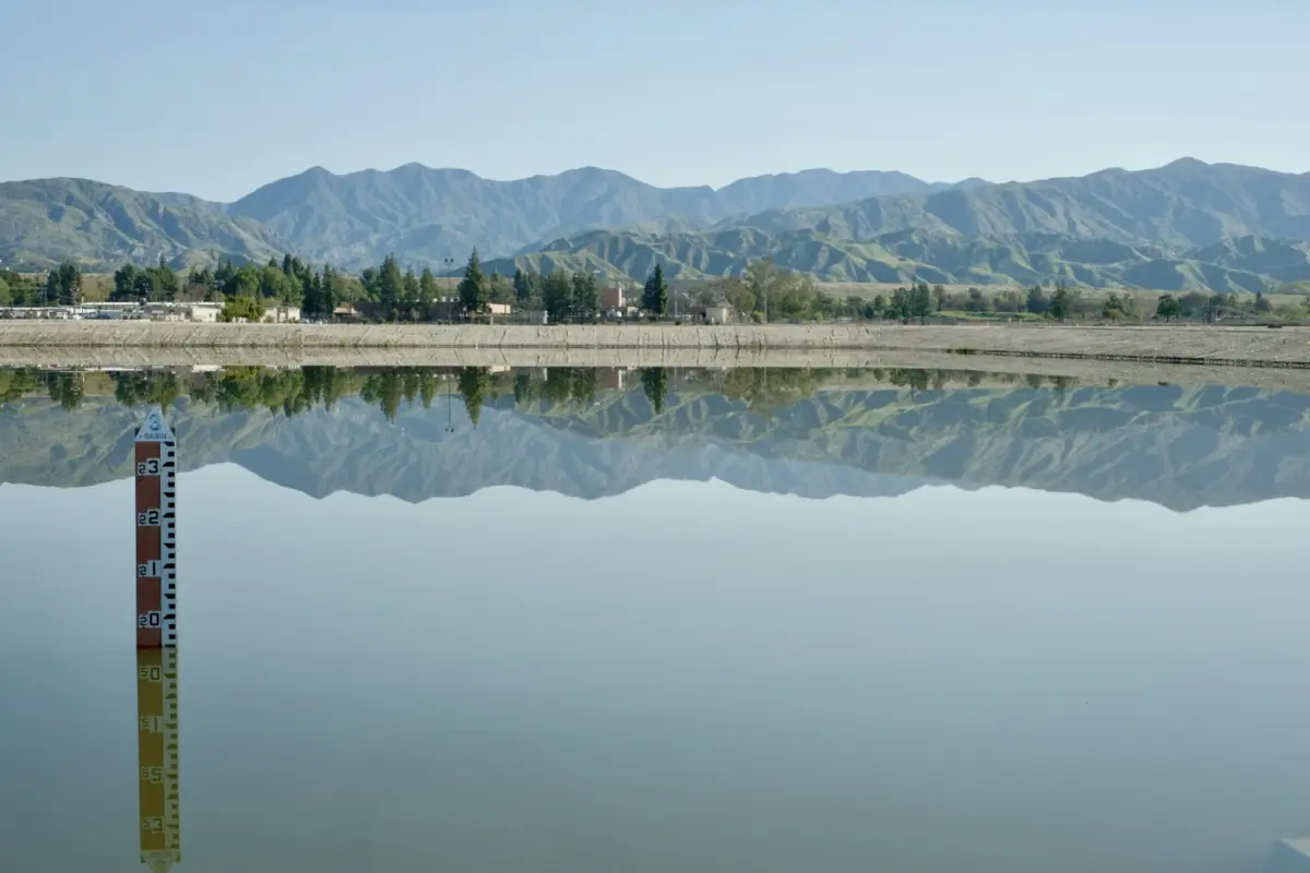 Hansen spreading grounds in Sun Valley is one of L.A. County's largest stormwater capture and flood control basins. (Erin Stone / LAist)