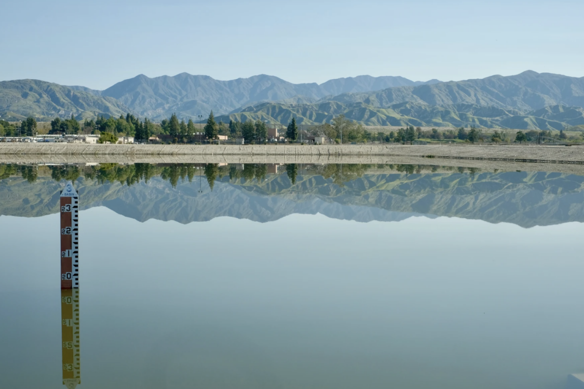 Hansen spreading grounds in Sun Valley is one of L.A. County's largest stormwater capture and flood control basins. (Erin Stone / LAist)
