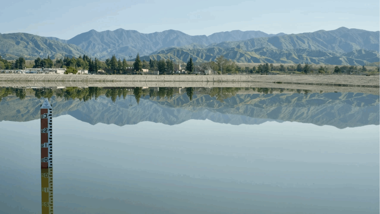 Hansen spreading grounds in Sun Valley is one of L.A. County's largest stormwater capture and flood control basins. (Erin Stone / LAist)
