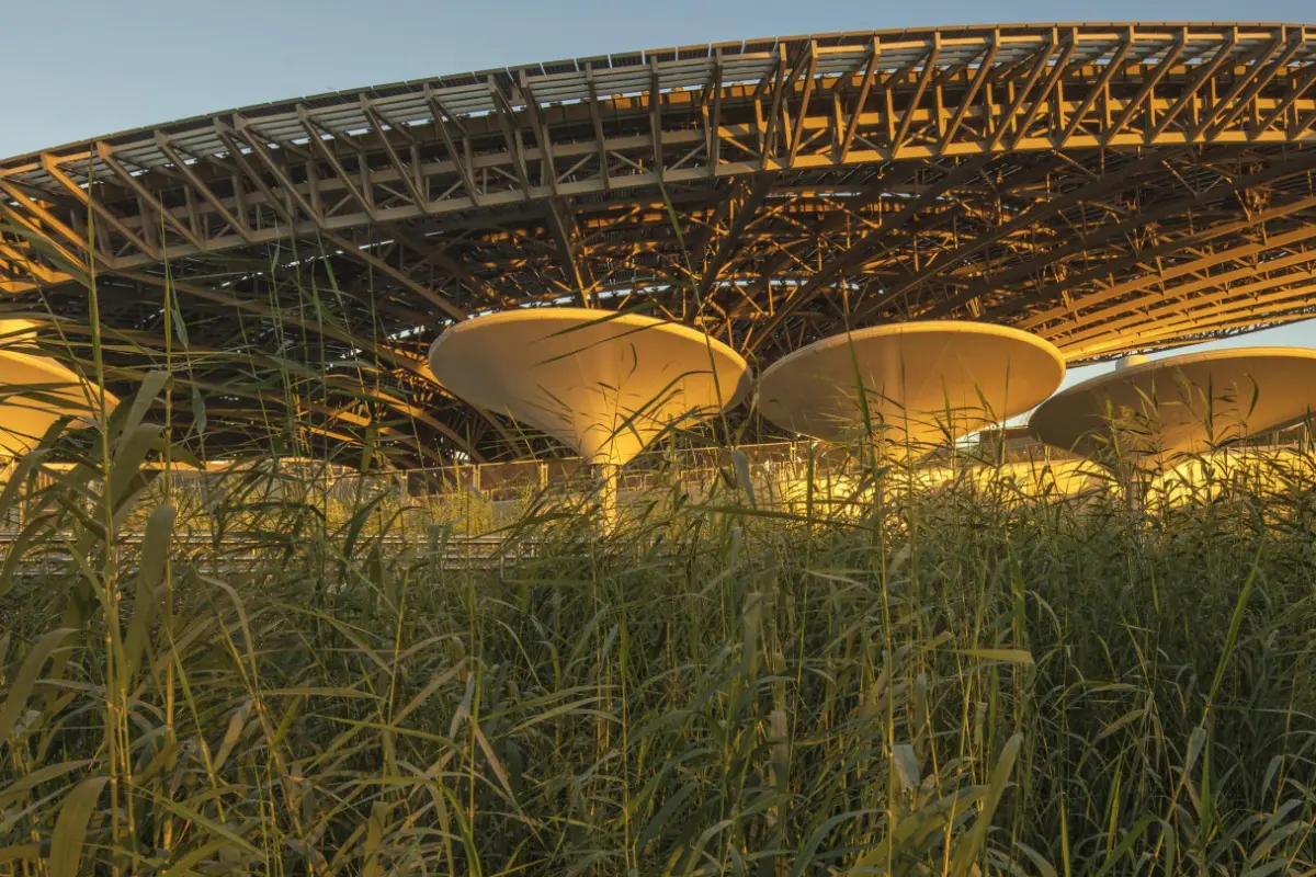 Terra The Sustainability Pavilion