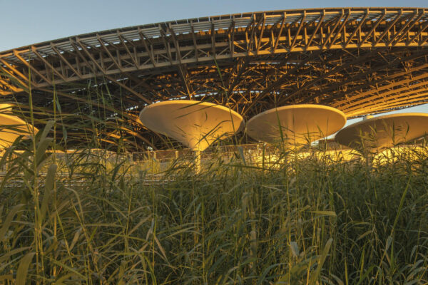 Terra The Sustainability Pavilion