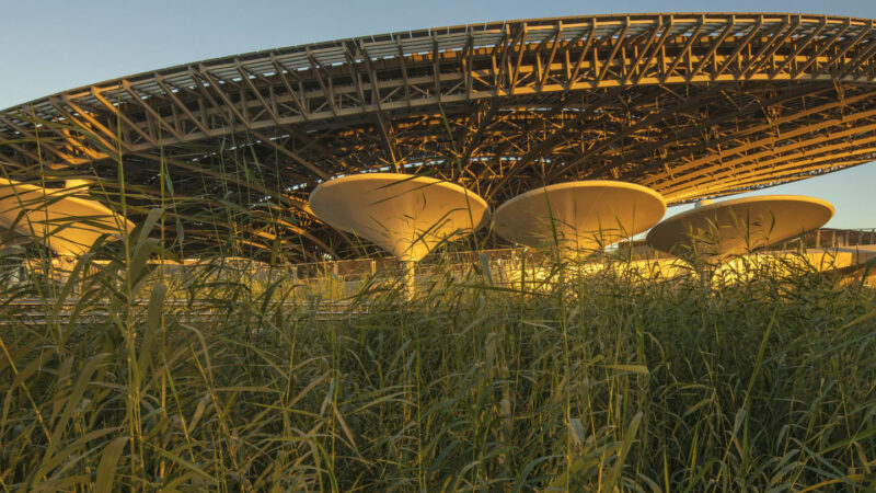 Terra The Sustainability Pavilion