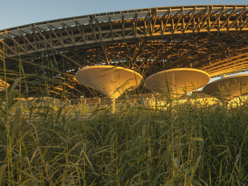 Terra The Sustainability Pavilion