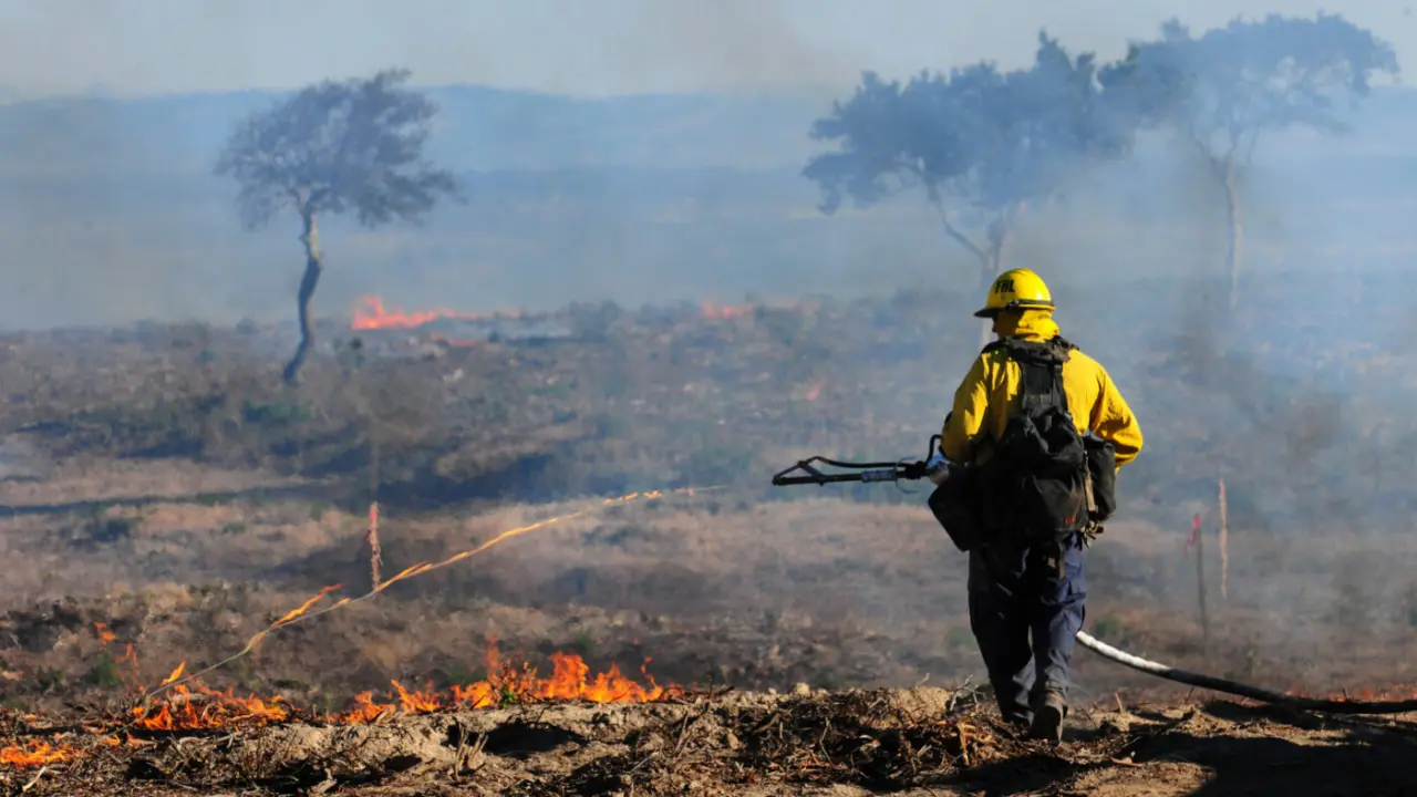 Army Prescribed Burn on Fort Ord