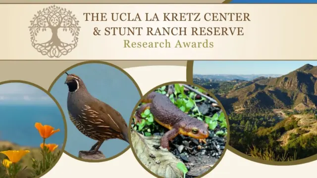 Banner for the UCLA La Kretz Center & Stunt Ranch Reserve Research Awards, with poppies, a quail, a newt, and mountain chaparral.