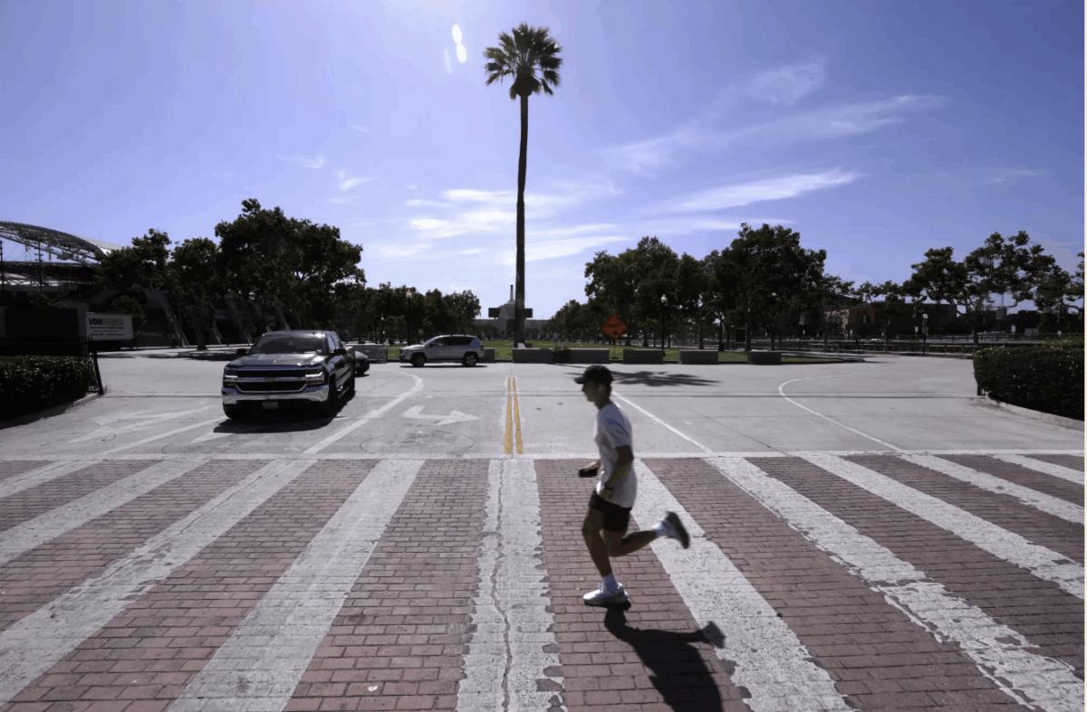 Urban heat mitigation. Heat islands. Lorena Elebee /LOS ANGELES TIMES