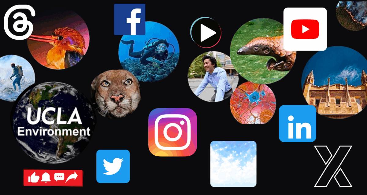 Social media IoES general image