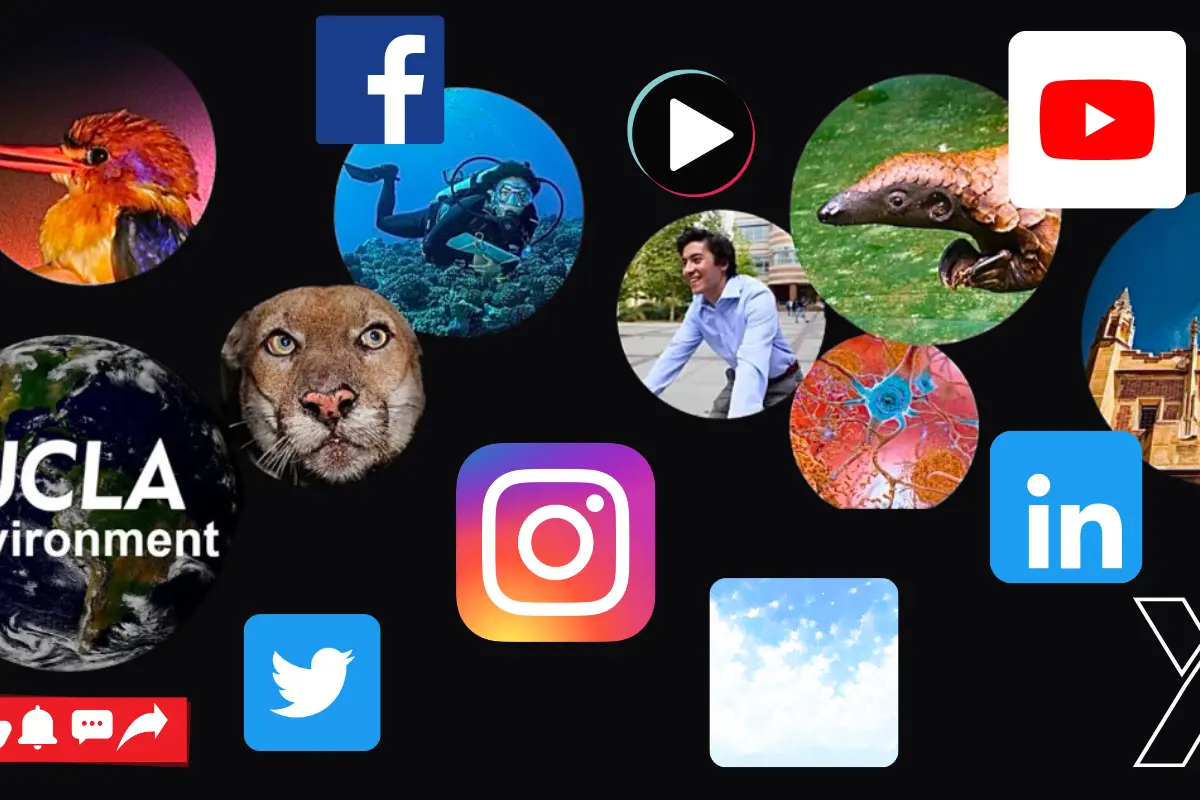 Social media IoES general image