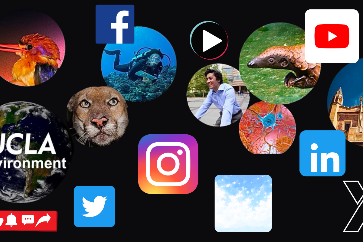 Social media IoES general image