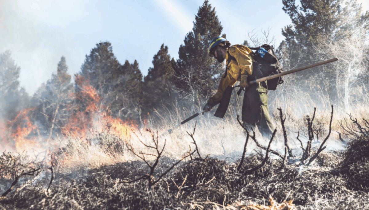 A prescribed burn on the Beaverhead-Deerlodge National Forest on Oct - in Montana Photo by Hayden Blackford