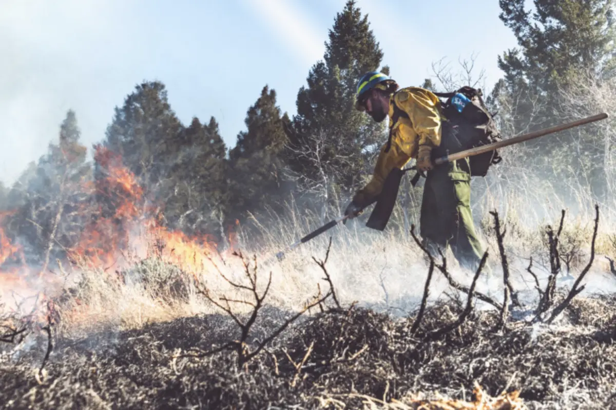 A prescribed burn on the Beaverhead-Deerlodge National Forest on Oct - in Montana Photo by Hayden Blackford