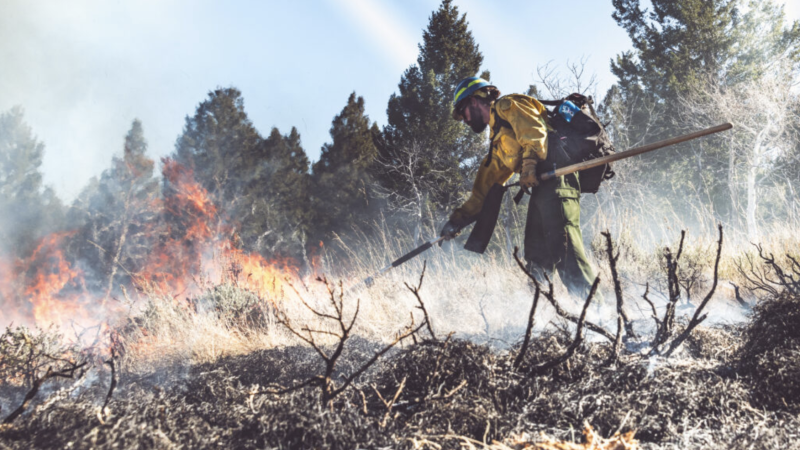 A prescribed burn on the Beaverhead-Deerlodge National Forest on Oct - in Montana Photo by Hayden Blackford
