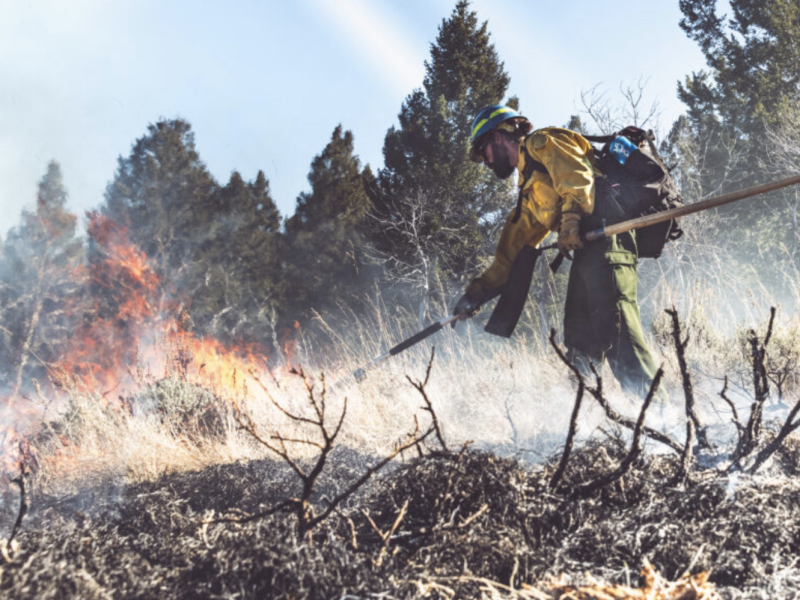 A prescribed burn on the Beaverhead-Deerlodge National Forest on Oct - in Montana Photo by Hayden Blackford